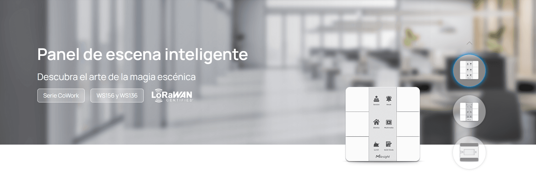 Panel Inteligente con Botones Programables y Display Digital para Automatización LoRaWAN image 2